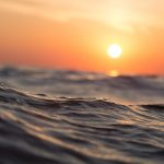 SUN1